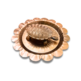 Iccha Poorti Kachua/ Turtle