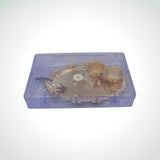 Peacock Theme Oval Haldi Kumkum Holder with Minakari - Divinesansar