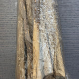 Havan Sameedha (Wood) Slim