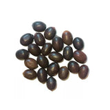 Sacred Kamalgatta | Lotus Seeds Set (11pcs) for Pooja - Divinesansar