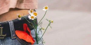 Avoid these 5 pocket items or face bad luck as per Vastu - Divine Sansar