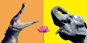 Gajendra Moksha: Story of Elephant and Crocodile