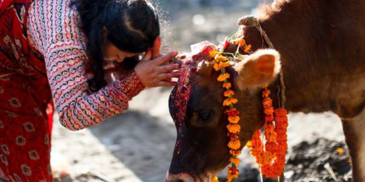 The significance of cow worship (Gau Seva) in Sanatan Dharma - Divine Sansar