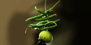 Hindu practices considered superstitious that have a scientific explanation - Divine Sansar