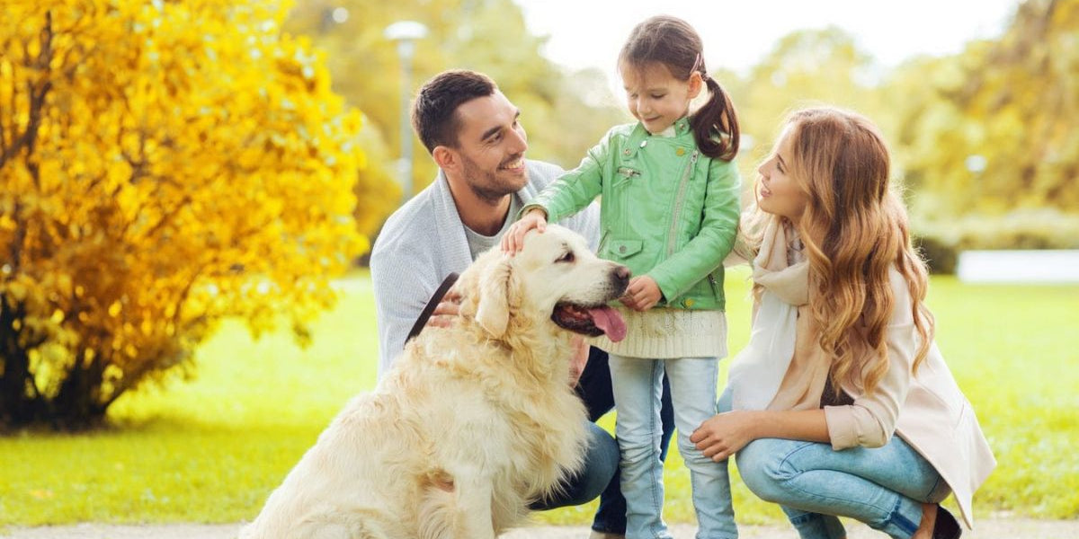 Explore Vastu Shastra’s insights on keeping pets, ensuring balanced energy and harmony within your home environment.