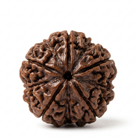 Rudraksha crystal sphere - Divine Sansar