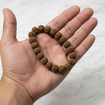 Rudraksha bracelet held in palm showing 10mm bead size - Divine Sansar