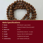 Rudraksha Mala specifications 108 beads 8mm 45cm lab tested - Divine Sansar UAE
