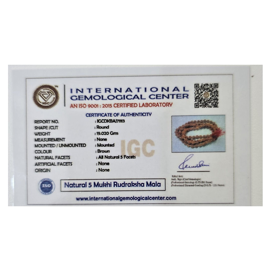 IGC lab-tested certificate of authenticity for Natural 5 Mukhi Rudraksha Mala - Divine Sansar UAE