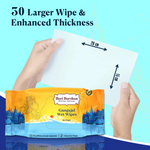 Divine Sansar Gangajal Wet Wipes packaging with a hand holding a larger wipe against a blue background.