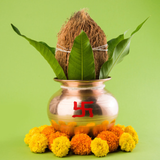 Aam ka Patta - Fresh Mango Leaves | Pack of 10