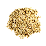 Divine Sansar-Pile of Barley seeds on a white background