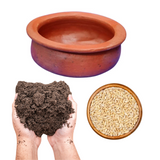 Clay Pot 8.5” with Soil & Barley Seeds Combo