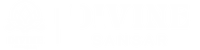 Divine Sansar-White Divine Sansar brand logos with a central vertical divider line displayed on a black background.