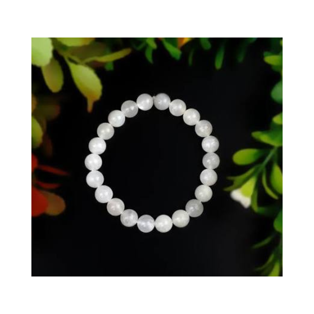 Divine Sansar-LunaGlow Bracelet-Moonstone bracelet on a dark background with green leaves