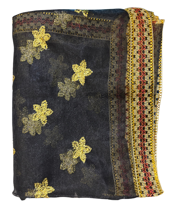 Divine Sansar Chunri Collection-blue fabric with gold star patterns and colorful border