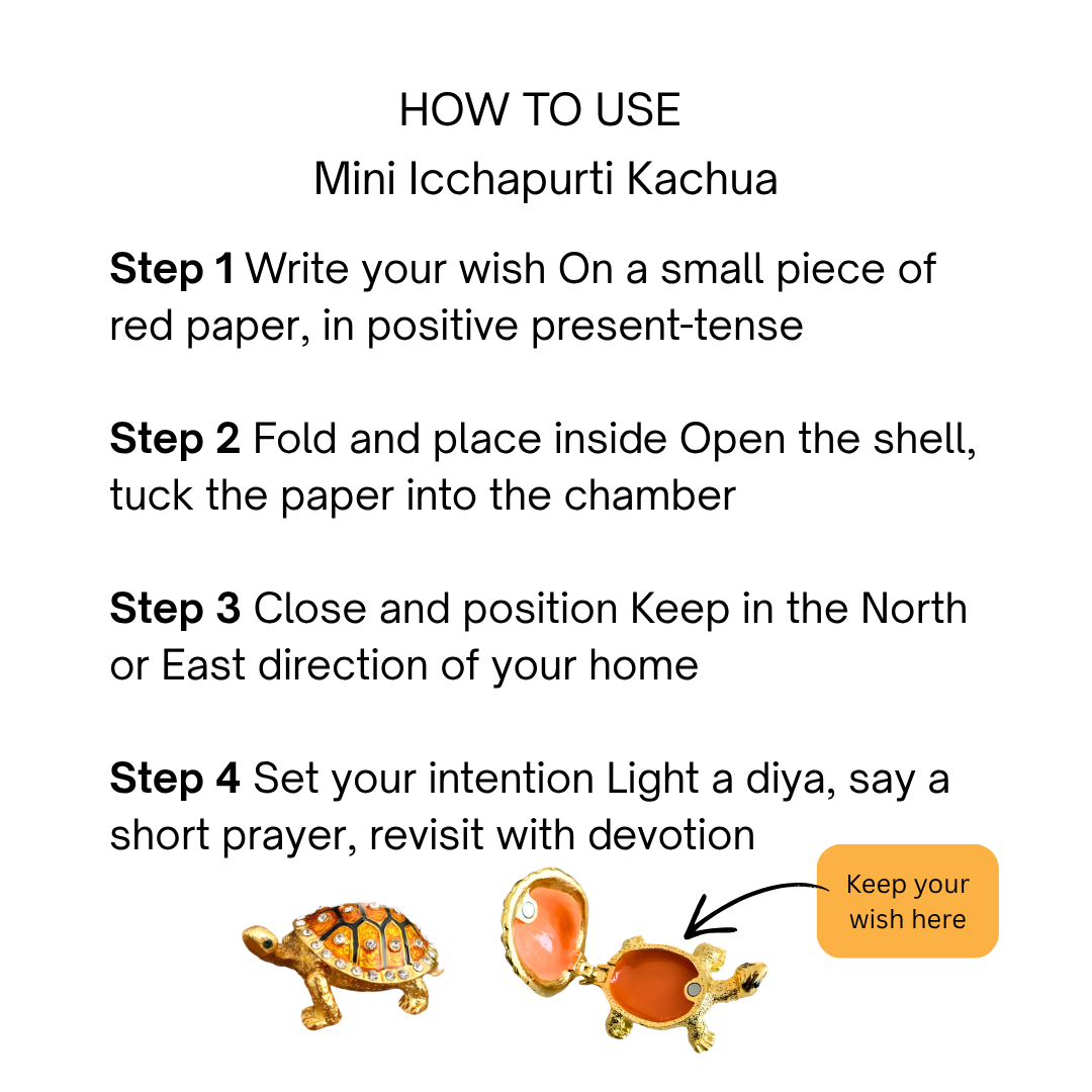 Divine Sansar Feng Shui Wish Fullfilling Turtle Use Guide