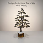 Pyrite Stone Tree of Life on a plain background with text