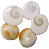 Gomti Chakra (Set of 5)