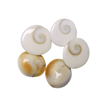 Divine Sansar Gomti Chakra (Set of 5) on white background