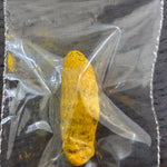 Divine Sansar Haldi Sabut (Turmeric Whole) in a clear plastic bag on a wooden surface