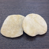 Batasha