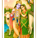 Divine Sansar-Krishna Photo Frame, a cow, and a peacock in a garden setting.