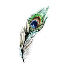 Divine Sansar-Peacock feather with vibrant colors on a white background