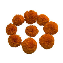 Divine Sansar-Orange Marigold arranged in a circular pattern on a black & white background