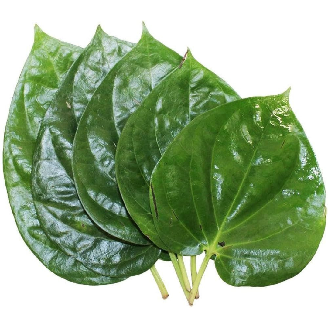 Divine Sansar Paan ka Patta-Close-up of green betel leaves on a white background