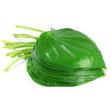 Divine Sansar Paan ka Patta-Stack of green betel leaves on a white background