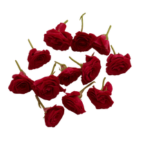 Divine Sansar-Red roses on a black & white background
