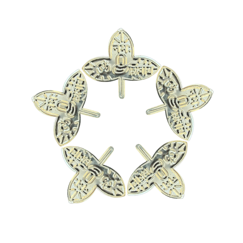 Divine Sansar-Silver plated Belpatra-5 silver plated belpatras