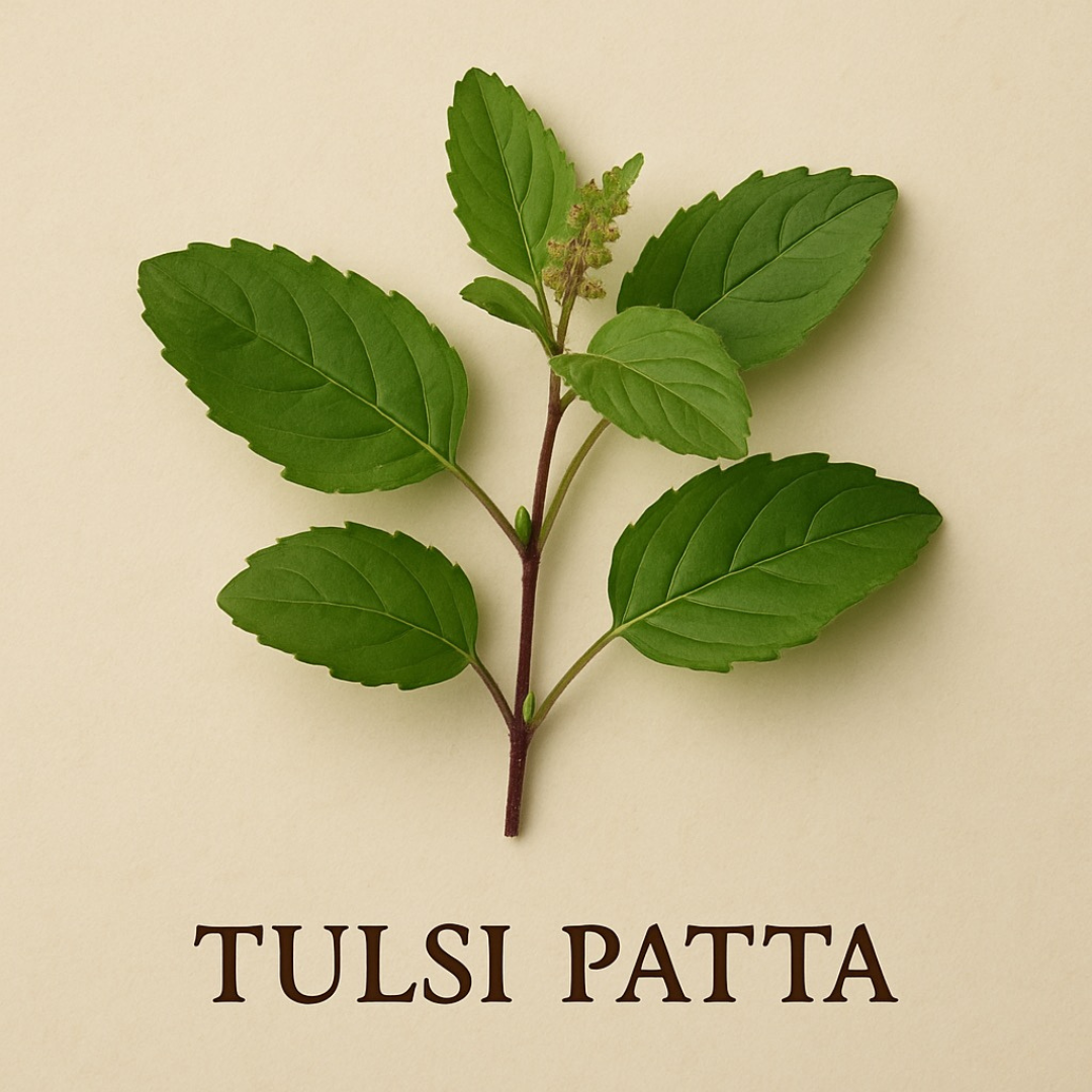 Divine Sansar Tulsi Patta-Green tulsi leaves on a beige background with 'Tulsi Patta' text.