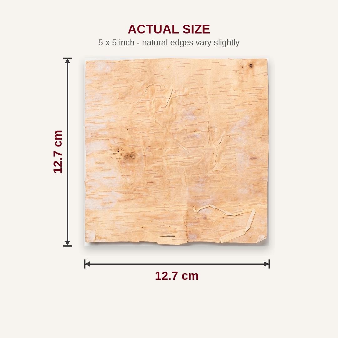 Bhoj patra sheet size 12.7 x 12.7 cm (5 x 5 inch) - Divine Sansar
