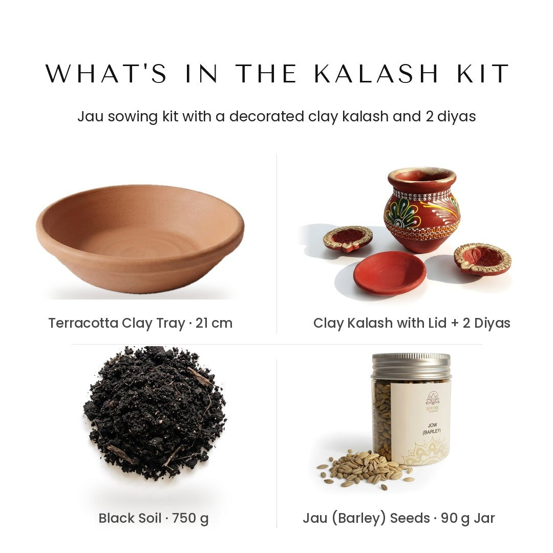 Jau sowing kit with clay kalash - clay tray, black soil 750g, jau 90g jar, decorated clay kalash with lid and 2 diyas - Divine Sansar