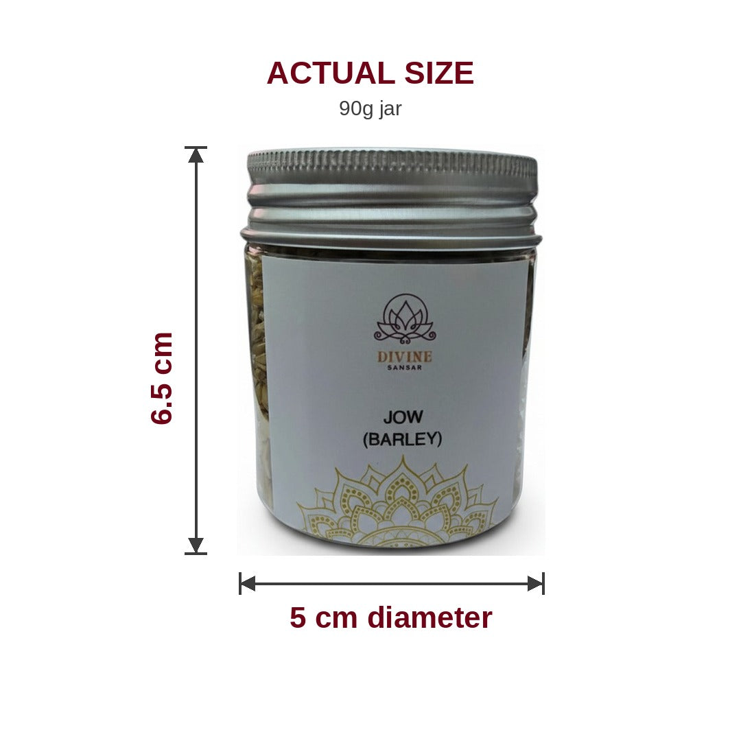 Jau barley seeds 90g jar size 6.5cm high x 5cm diameter - Divine Sansar