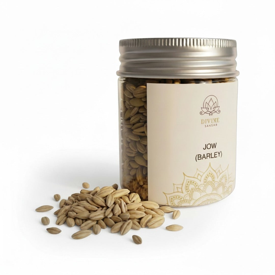 Divine Sansar jau barley seeds 90g jar included in the Navratri jau sowing kit