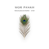 Natural mor pankh peacock feather for Krishna pooja and home mandir - Divine Sansar