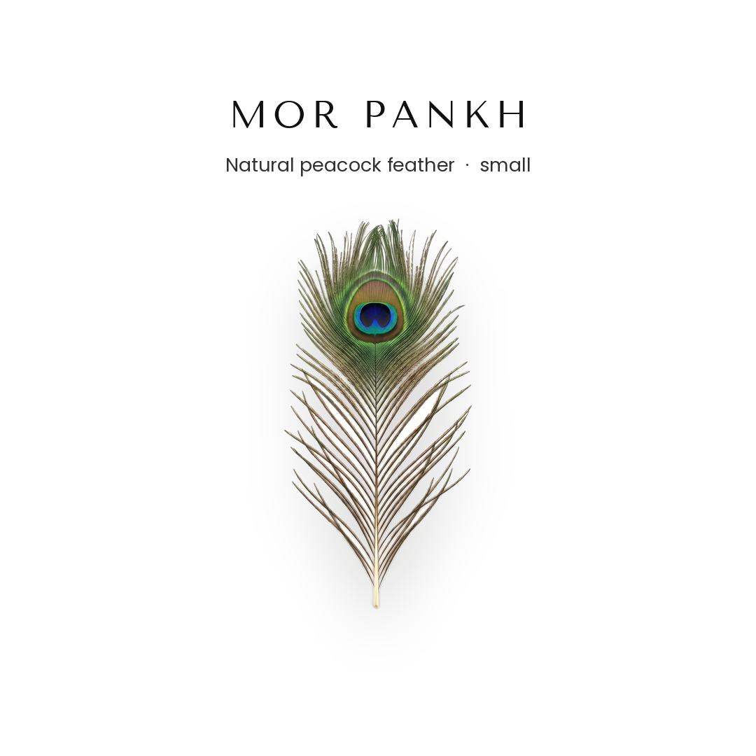 Natural mor pankh peacock feather for Krishna pooja and home mandir - Divine Sansar