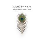 Natural mor pankh peacock feather for Krishna pooja and home mandir - Divine Sansar