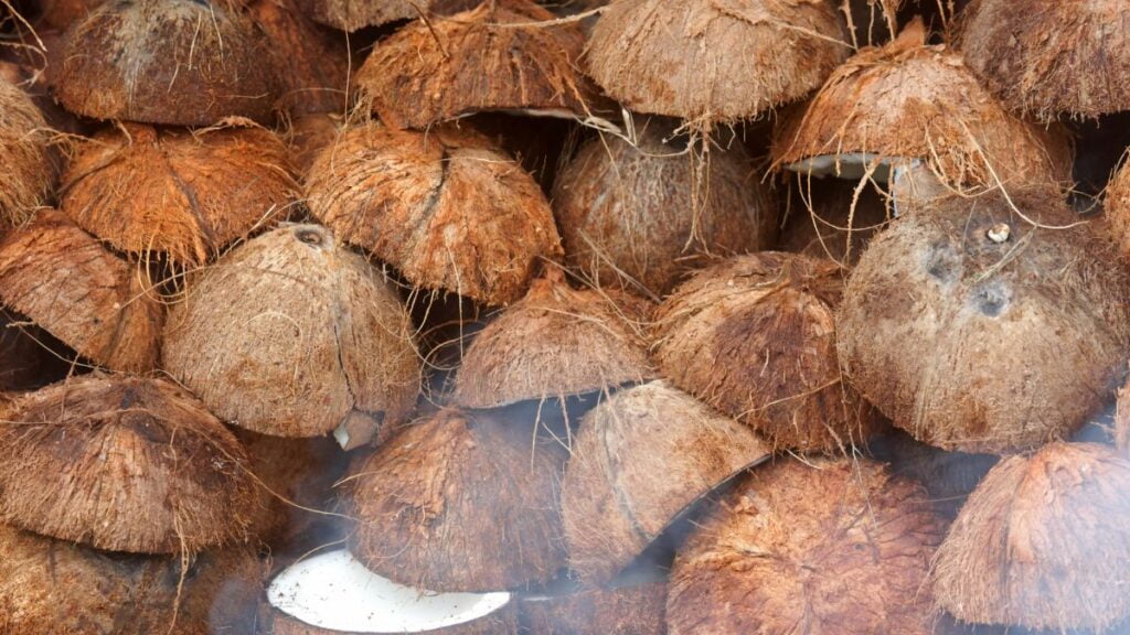 The Importance Of Coconut In Hinduism