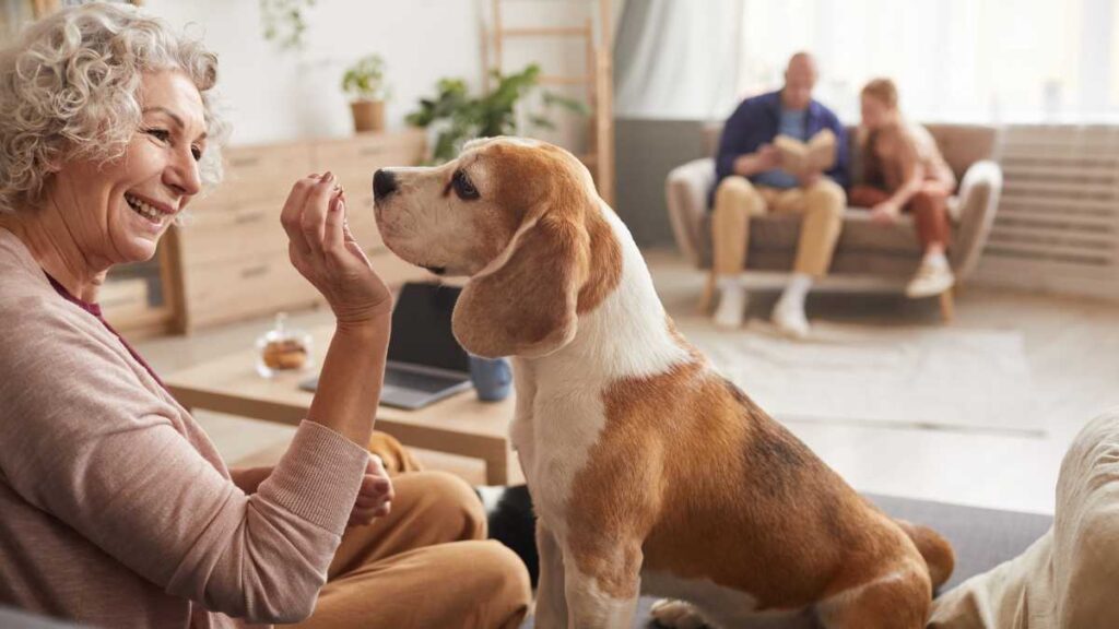Vastu Shastra's Perspective of Keeping Pets In Your Home